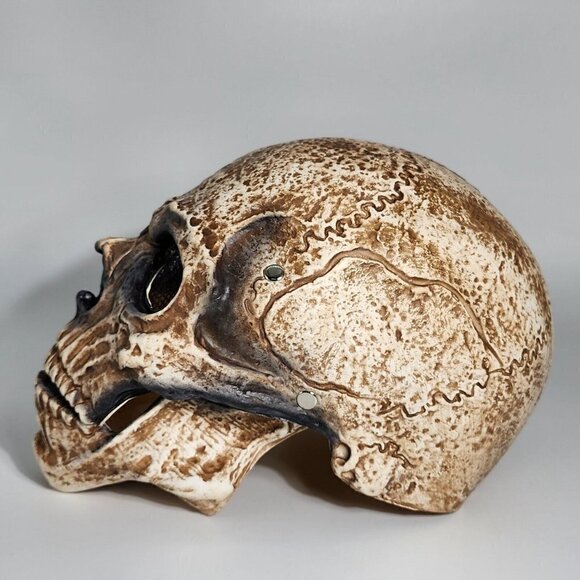 Cosplay Skull Skeleton Head Creepy Scary Halloween Mask Full Face Party Props - Picture 6 of 11